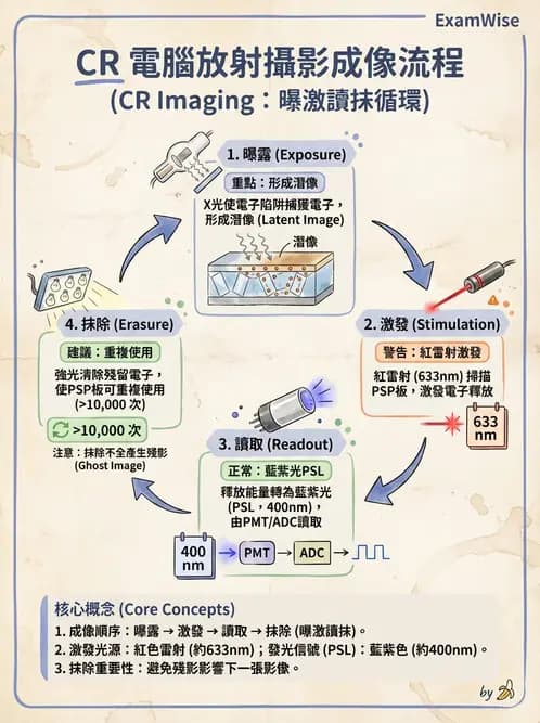 放射 - 電腦放射攝影(CR)原理與應用 - AI 圖文解析預覽