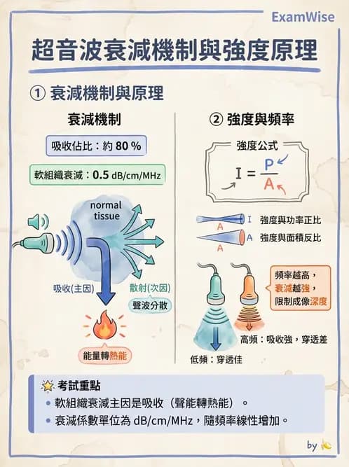 放射 - 超音波物理與系統原理 - AI 圖文解析預覽