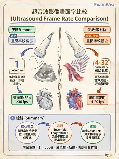 放射 - 都普勒超音波 - AI 圖文解析預覽