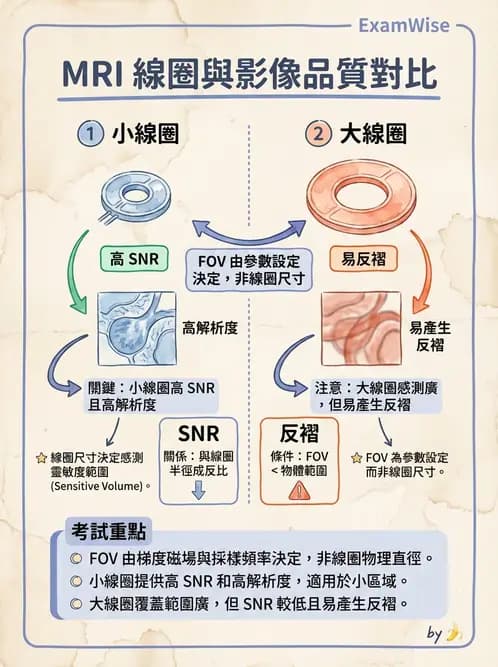 放射 - 射頻系統與線圈 - AI 圖文解析預覽