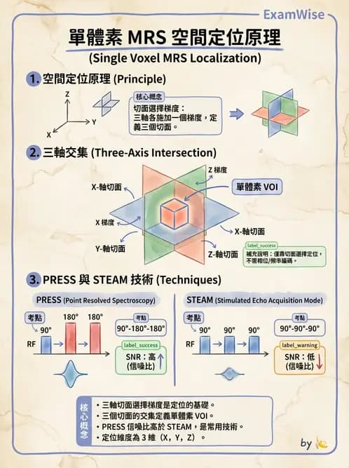 放射 - 梯度線圈與空間編碼 - AI 圖文解析預覽