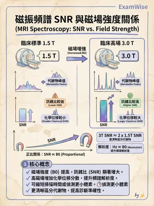 放射 - 主磁場、磁鐵類型與勻場 - AI 圖文解析預覽