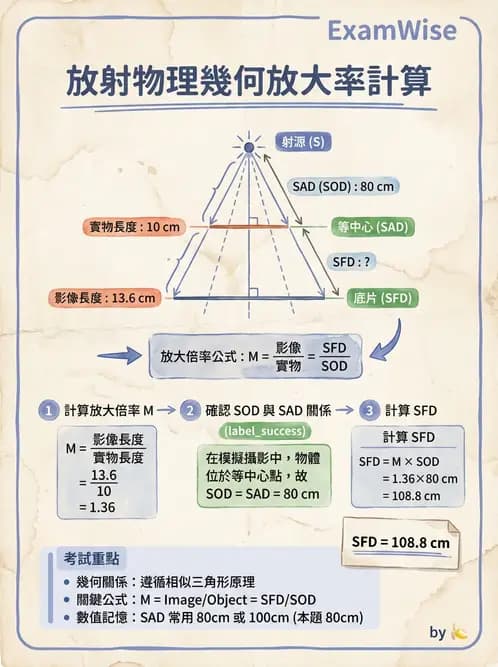 放射 - 傳統模擬攝影機 - AI 圖文解析預覽