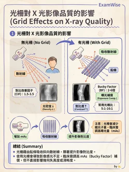 放射 - X光交互作用與影像品質 - AI 圖文解析預覽