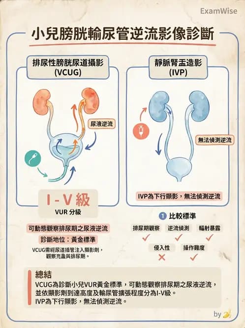 放射 - 泌尿生殖攝影 - AI 圖文解析預覽
