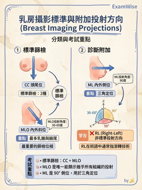 放射 - 乳房攝影與其他特殊檢查 - AI 圖文解析預覽