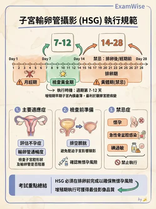 放射 - 泌尿生殖攝影 - AI 圖文解析預覽