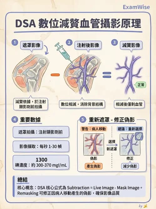 放射 - 血管攝影原理與解剖 - AI 圖文解析預覽