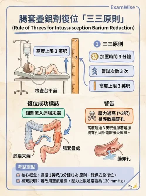 放射 - 消化道造影 - AI 圖文解析預覽