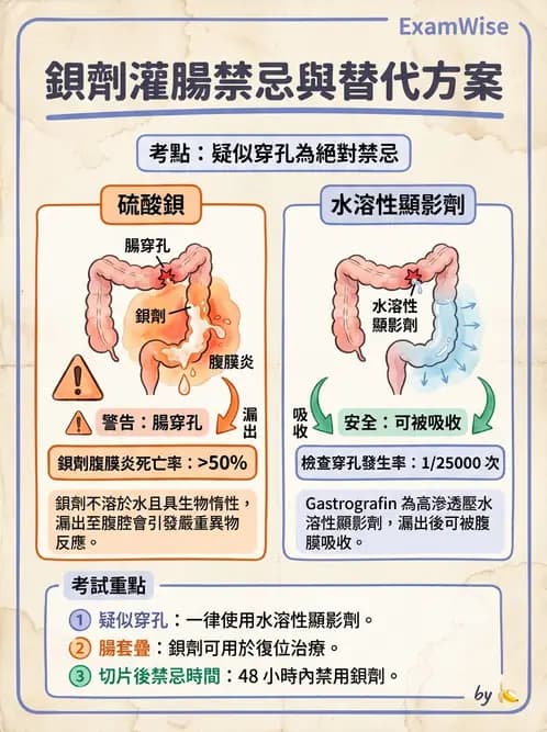 放射 - 消化道造影 - AI 圖文解析預覽