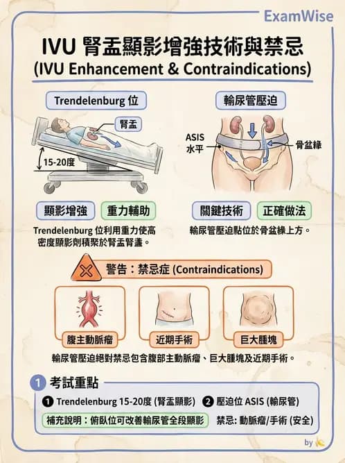 放射 - 泌尿生殖攝影 - AI 圖文解析預覽