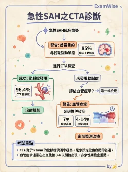放射 - CTA與CT影像技術應用 - AI 圖文解析預覽