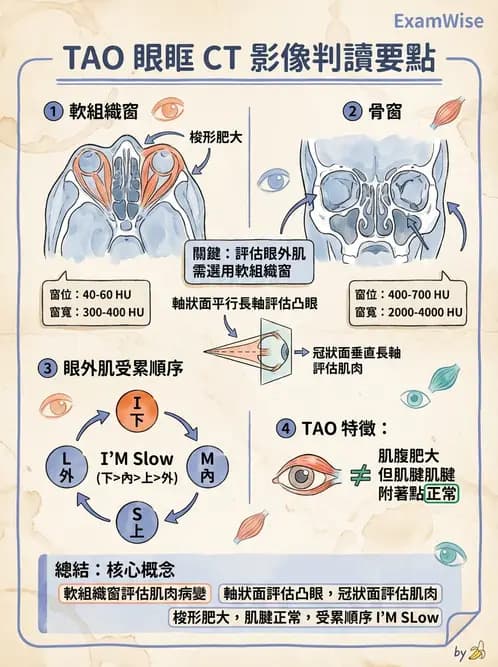 放射 - 頭頸部CT診斷 - AI 圖文解析預覽