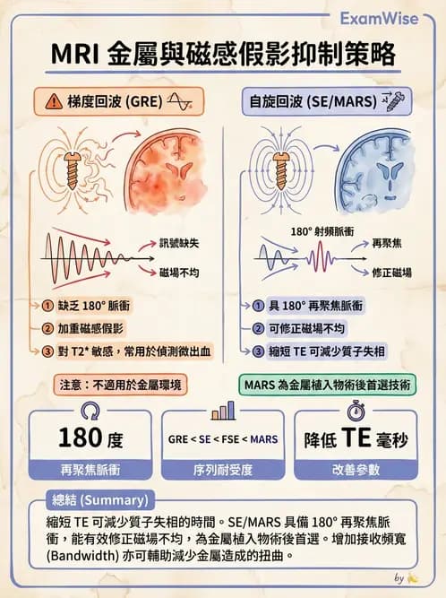 放射 - MRI脈衝序列與訊號技術 - AI 圖文解析預覽