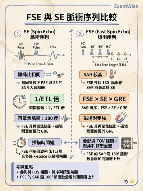 放射 - MRI脈衝序列與訊號技術 - AI 圖文解析預覽