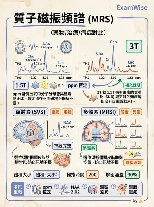 放射 - MR進階影像與臨床應用 - AI 圖文解析預覽