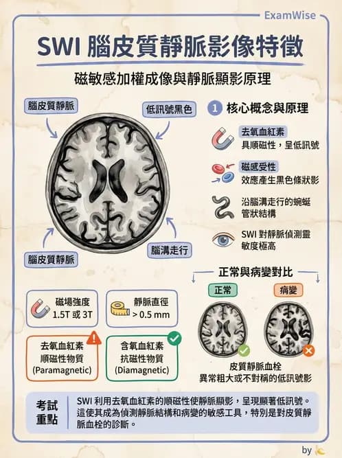 放射 - MR進階影像與臨床應用 - AI 圖文解析預覽