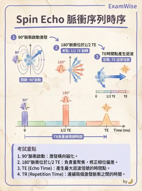 放射 - MRI脈衝序列與訊號技術 - AI 圖文解析預覽