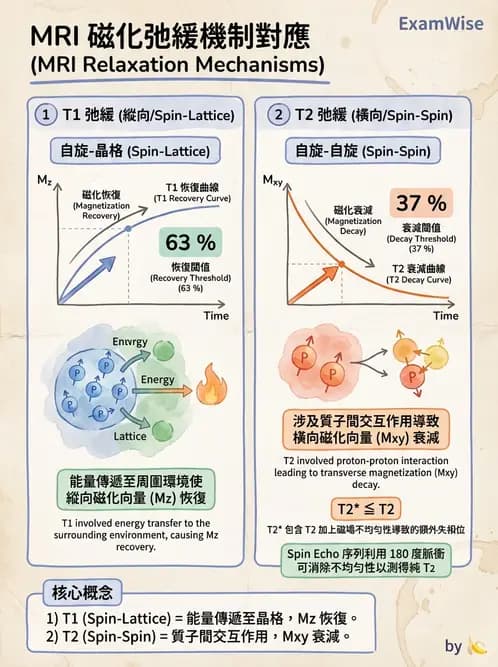 放射 - 磁振造影原理 - AI 圖文解析預覽