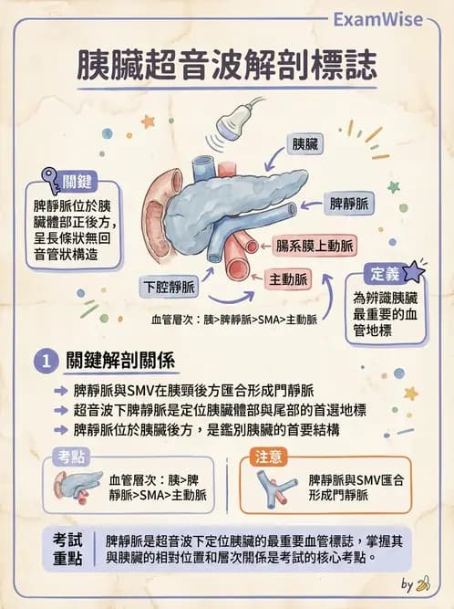 放射 - 膽胰脾超音波 - AI 圖文解析預覽