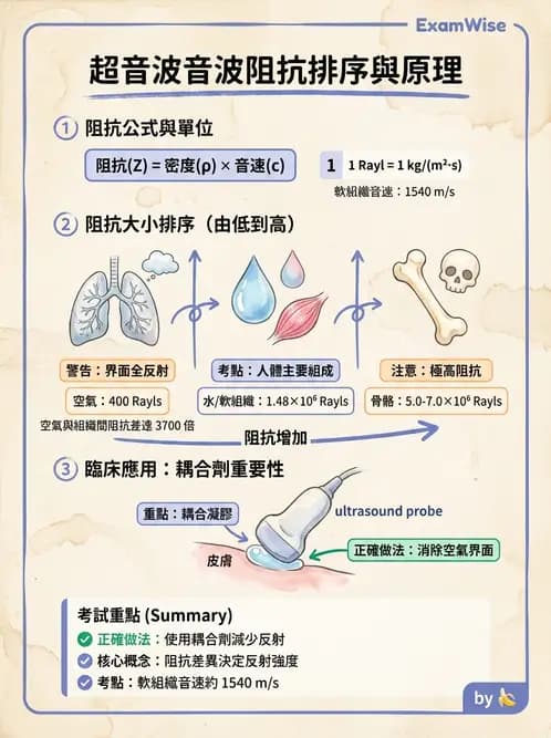 放射 - 超音波物理與技術 - AI 圖文解析預覽