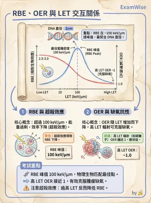 放射 - LET、RBE、OER與復氧效應 - AI 圖文解析預覽