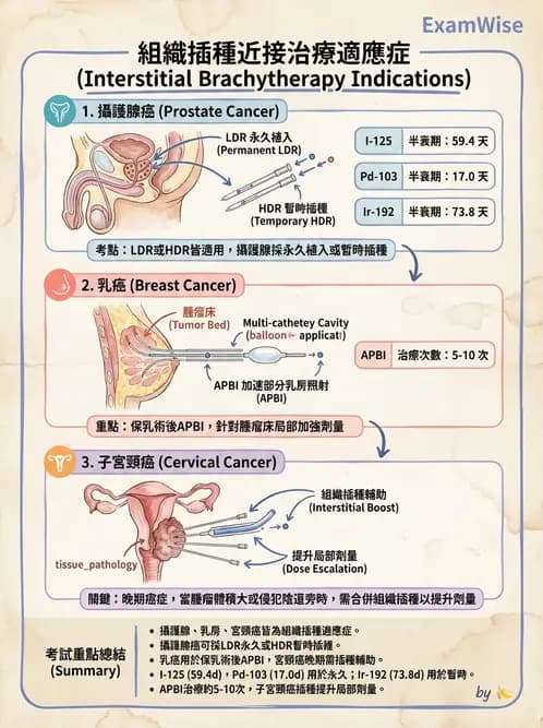 放射 - 插種近接治療 - AI 圖文解析預覽