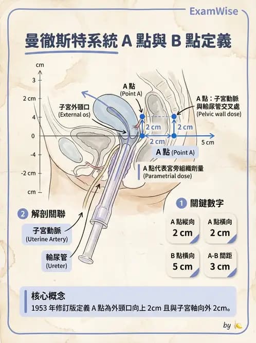放射 - 腔內近接治療 - AI 圖文解析預覽