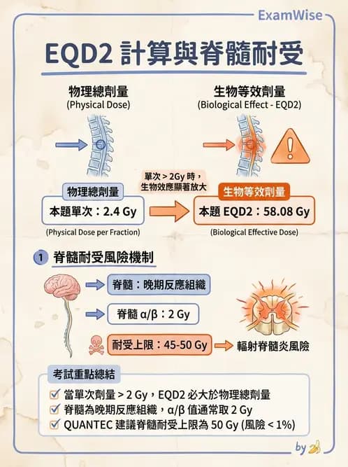 放射 - 放射治療靶區與劑量規範 - AI 圖文解析預覽