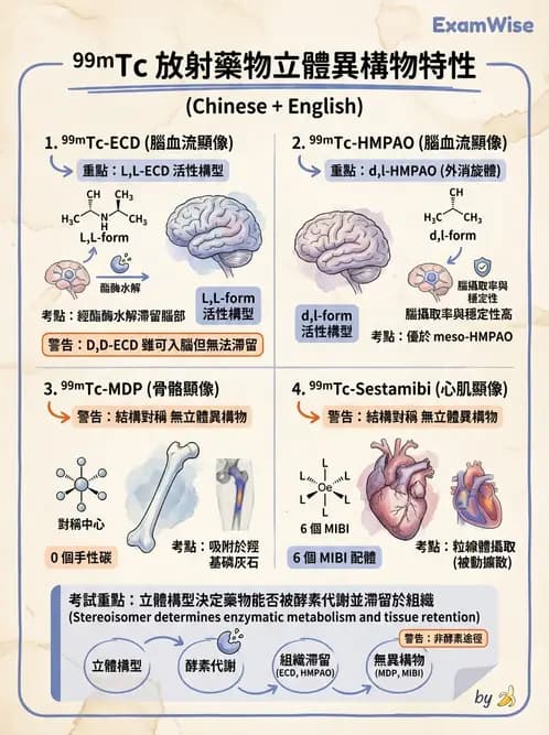 放射 - 肺肝膽與製劑通則 - AI 圖文解析預覽
