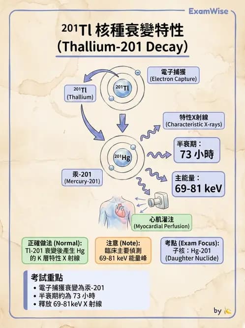 放射 - 蛻變類型與計算 - AI 圖文解析預覽