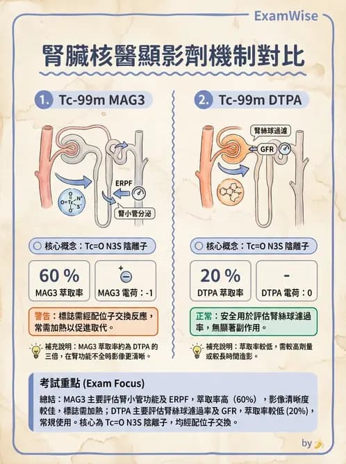 放射 - 腎臟造影SPECT藥物 - AI 圖文解析預覽