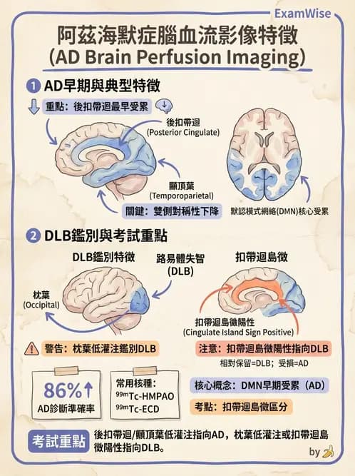 放射 - 腦部造影 - AI 圖文解析預覽