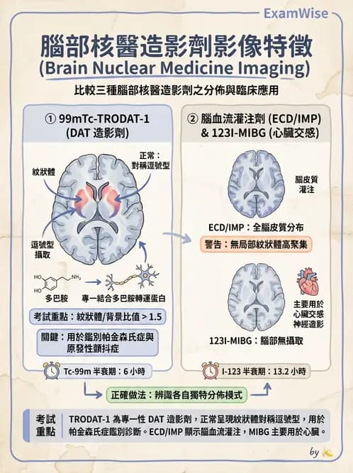 放射 - 腫瘤與內分泌造影SPECT藥物 - AI 圖文解析預覽