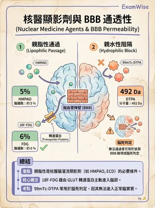 放射 - 腦部造影SPECT藥物 - AI 圖文解析預覽