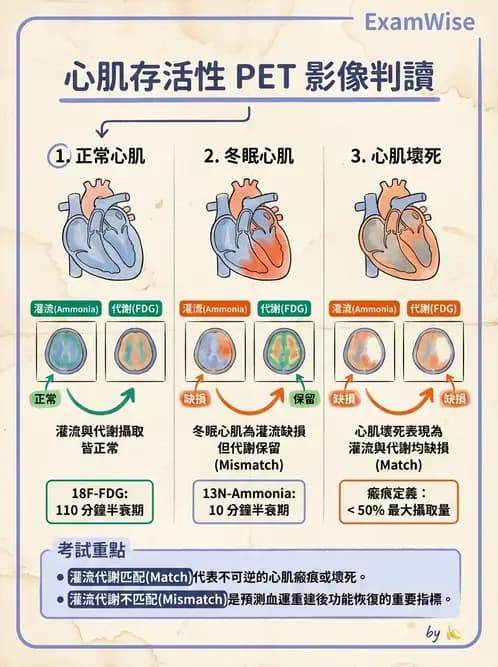 放射 - PET藥物基礎與心臟造影 - AI 圖文解析預覽