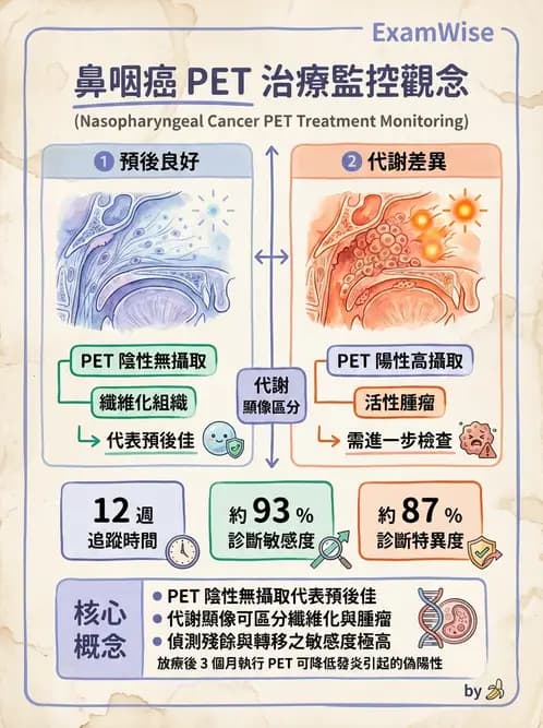 放射 - FDG PET造影 - AI 圖文解析預覽