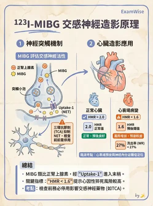 放射 - 腫瘤與內分泌造影SPECT藥物 - AI 圖文解析預覽
