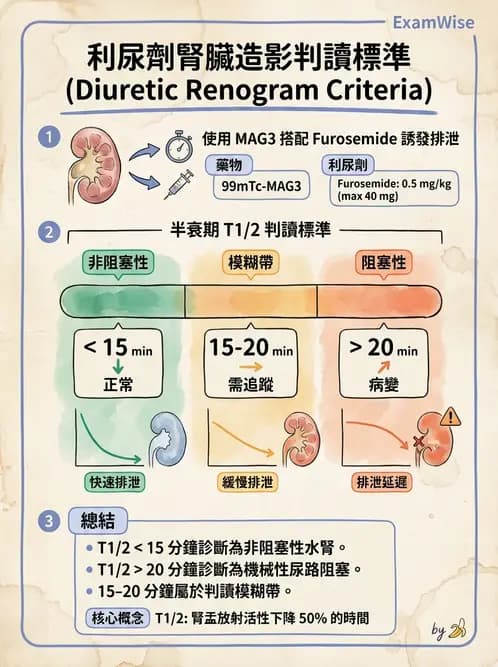 放射 - 腎臟造影 - AI 圖文解析預覽