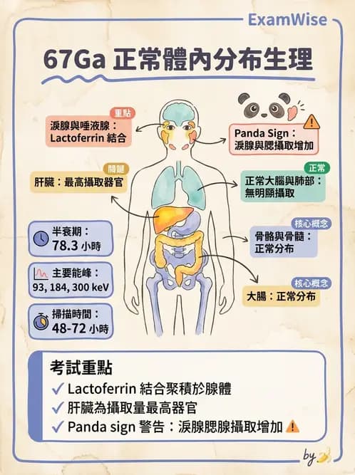 放射 - 腫瘤與內分泌造影SPECT藥物 - AI 圖文解析預覽