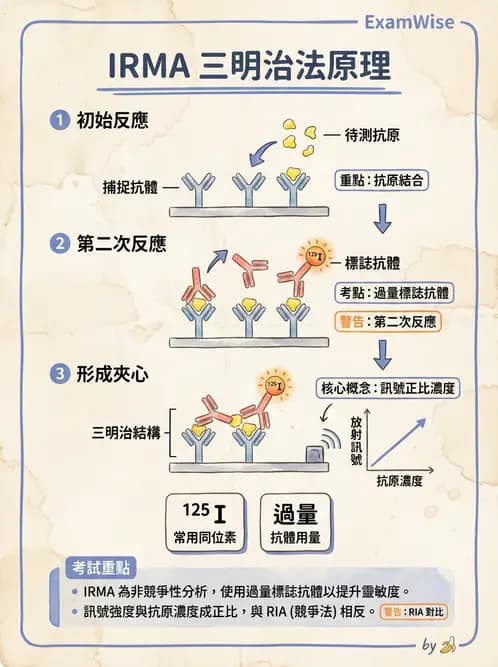放射 - RIA與IRMA分析原理 - AI 圖文解析預覽
