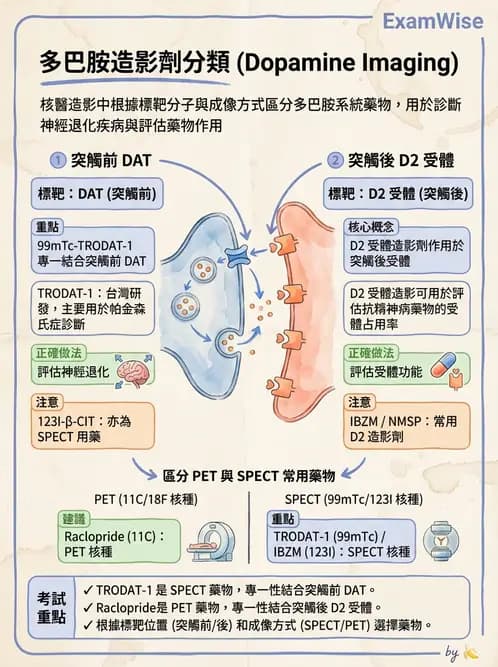 放射 - 腦神經PET藥物 - AI 圖文解析預覽