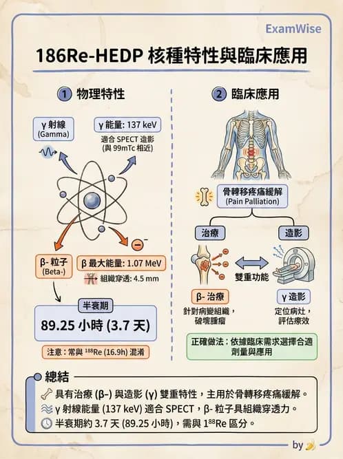 放射 - 治療用核醫藥物 - AI 圖文解析預覽