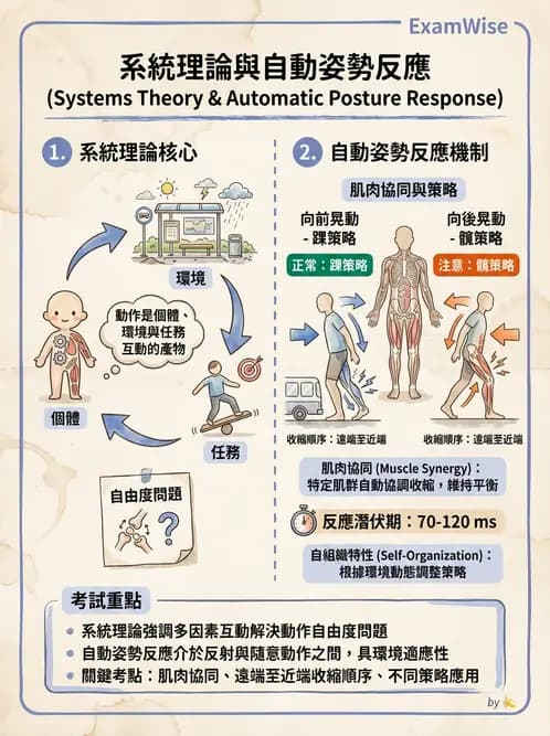 物治 - 動作控制理論 - AI 圖文解析預覽