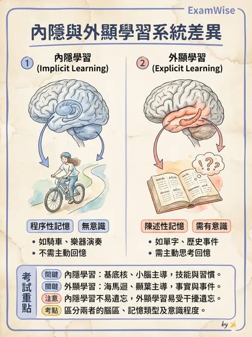 物治 - 動作學習 - AI 圖文解析預覽