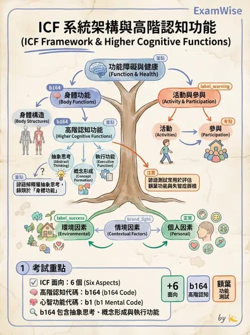 物治 - ICF分類與應用 - AI 圖文解析預覽
