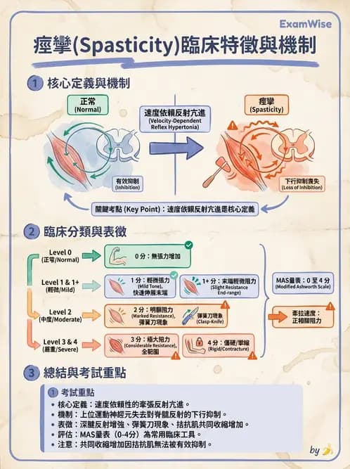 物治 - 神經物理治療評估工具 - AI 圖文解析預覽