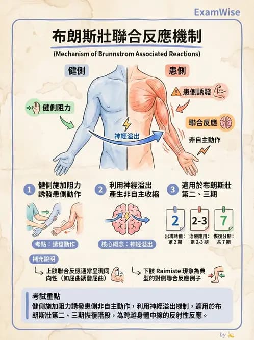 物治 - 腦中風治療手法應用 - AI 圖文解析預覽