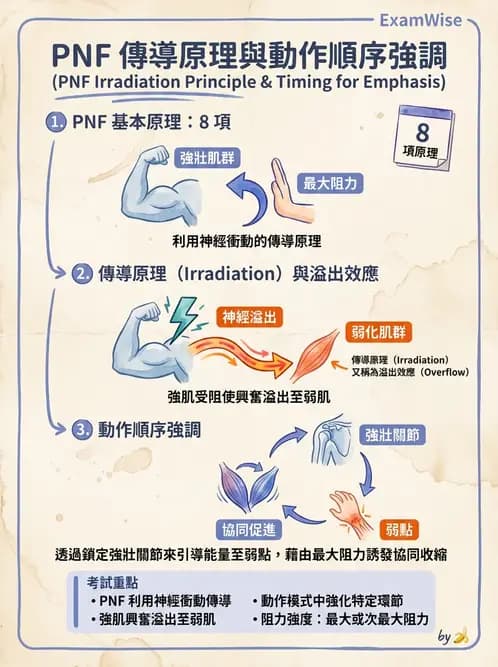 物治 - 神經治療學派技術 - AI 圖文解析預覽