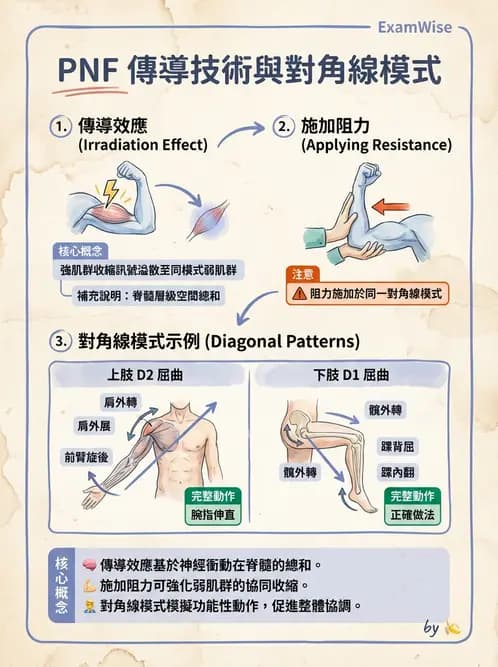 物治 - 神經治療學派技術 - AI 圖文解析預覽